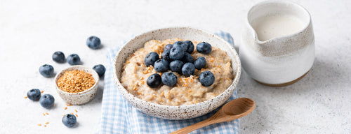 bowl of porridge with blueberries and seeds