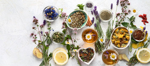 various kinds of herbal tea
