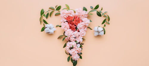 PMS - Regain Your Hormone Health Balance