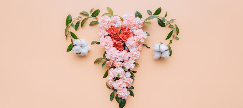 PMS - Regain Your Hormone Health Balance