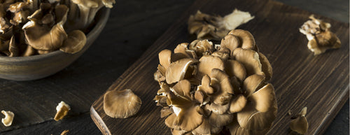 Maitake Mushroom: Boost Your Immunity Naturally