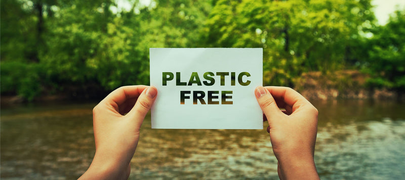 hand holding plastic free sign with trees in background