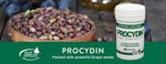 Procydin: The Antioxidant Modern Diets May Be Missing