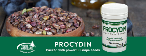 Procydin: The Antioxidant Modern Diets May Be Missing