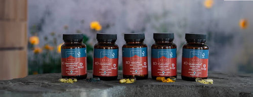 What Is Bioavailability and Why Does It Matter?