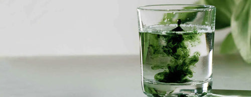 Kiki Health: The Power of Liquid Chlorophyll