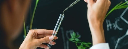 Unlocking the Power of Plants: Why Phyto is Your Go-To Haircare Brand