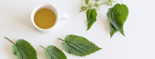 a cup of nettle tea - a way to treat hay fever naturally