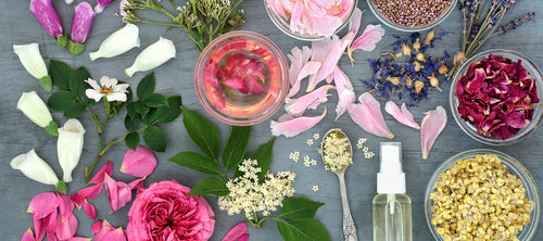 selection of colourful flowers and herbs