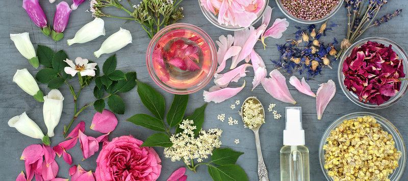 selection of colourful flowers and herbs