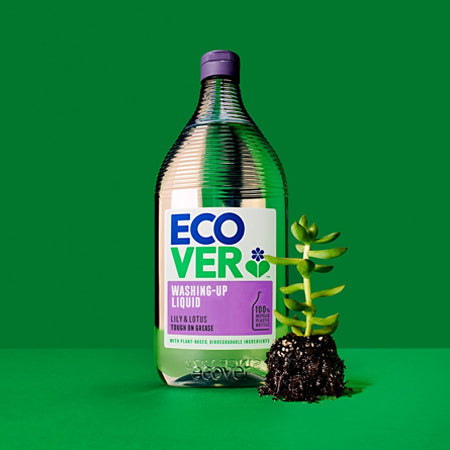 Ecover washing up liquid with plant on green background