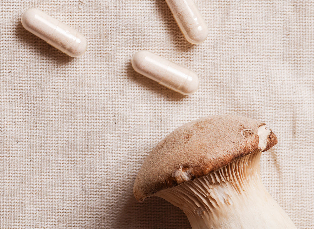 Mushrooms for Mental Wellbeing