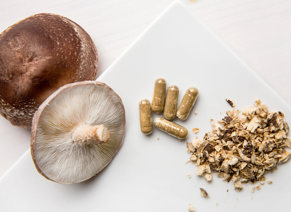 Mushrooms for Sleep