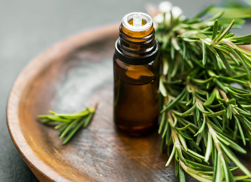 bottle of rosemary essential oil next to sprigs of rosemary