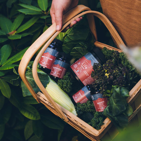 Terranova Multivitamins