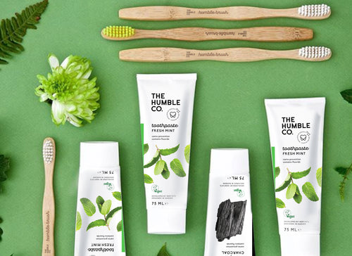 humble co toothbrushes and toothpaste flat lay on green background