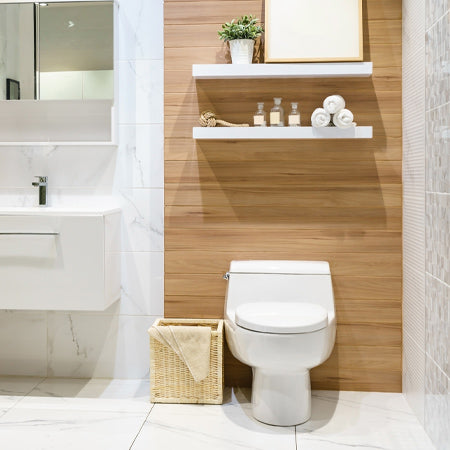 clean toilet