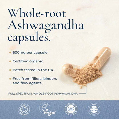 Promotional graphic for whole-root ashwagandha capsules, showing a translucent capsule filled with tan powder and a small pile of loose powder on a light textured background. 