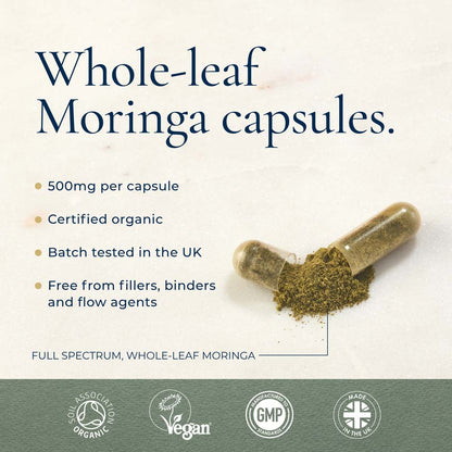Ayurvediq Moringa capsules Infographic 