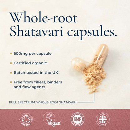 Whole-root Shatavari capsules, showing a clear capsule with tan powder spilling out on a light textured background and text information