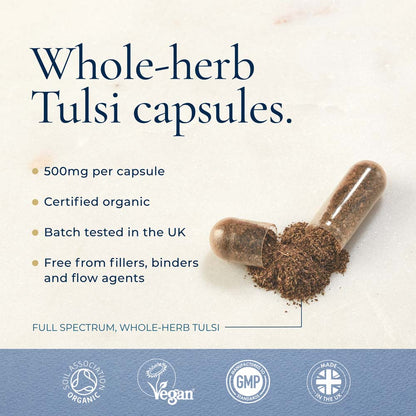 Ayurvediq Organic Tulsi