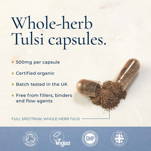 Ayurvediq Organic Tulsi