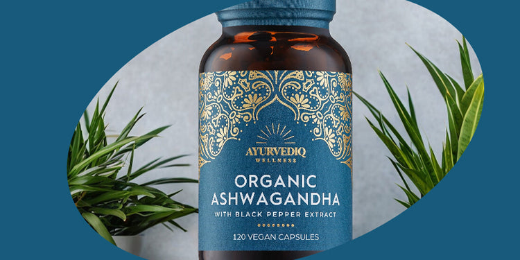 Ayurvediq Wellness