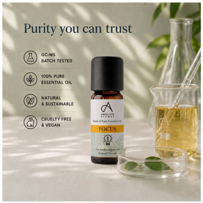 Absolute Aromas Focus Essential Oil Blend