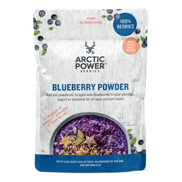 pouch of Arctic Power Berries Blueberry Powder