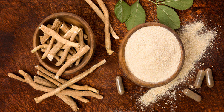 Ashwagandha root, powder and capsules on wooden background