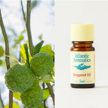 Atlantic Aromatic Bergamot Essential Oil