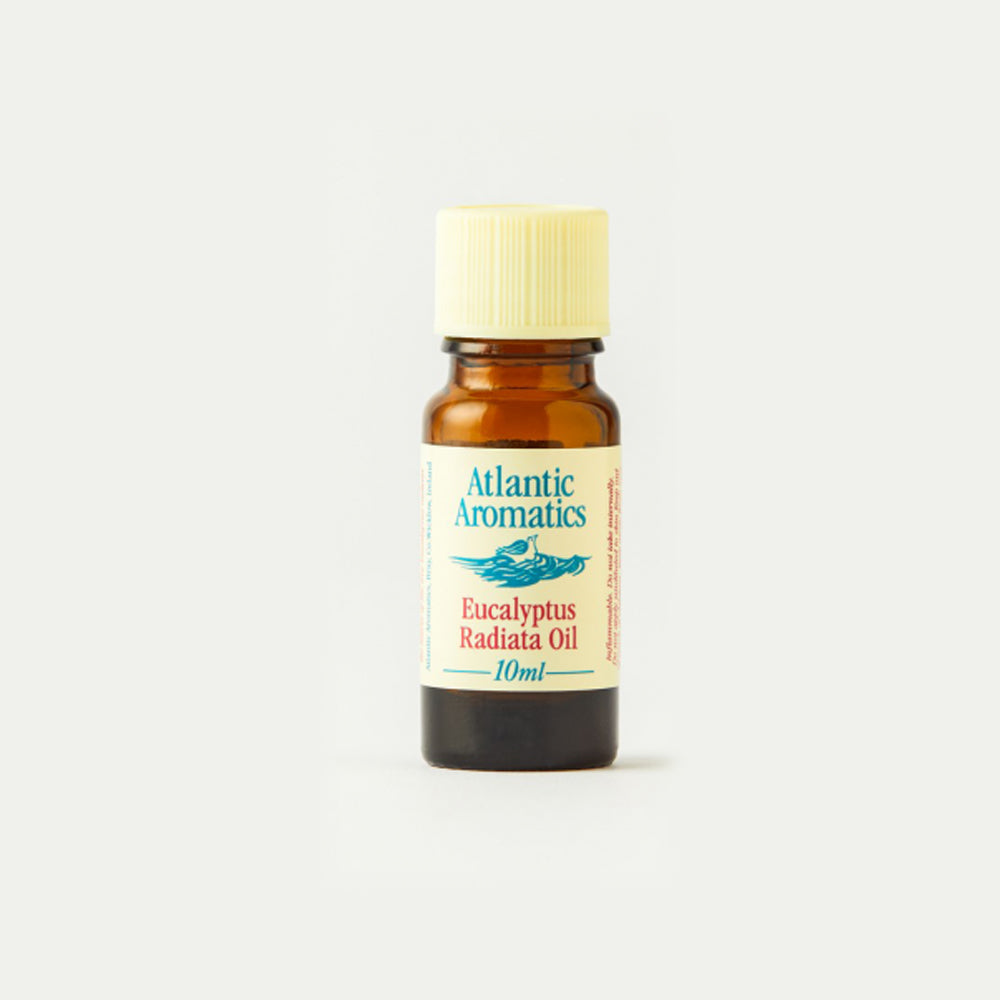 Atlantic Aromatics Eucalyptus Radiata Essential Oil
