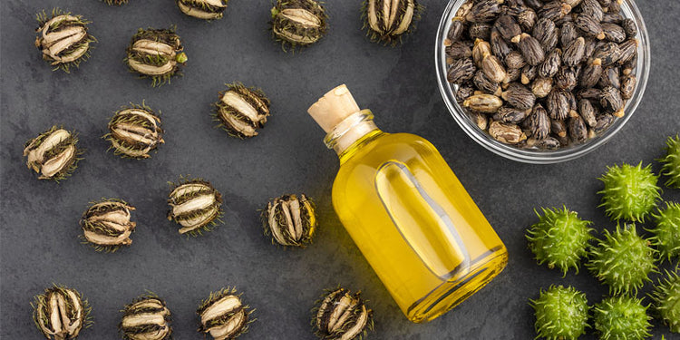 Castor seeds and bottle of castor oil