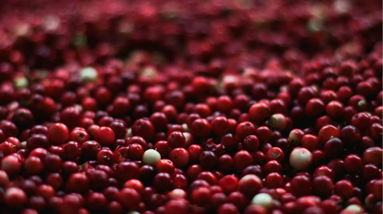 close up of cranberry fruit