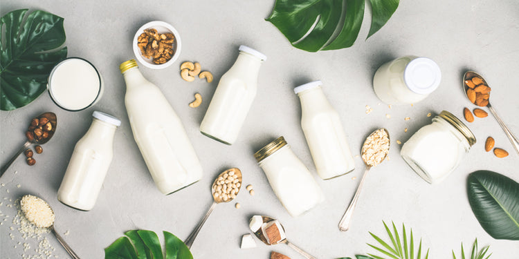 Dairy free plant milk bottles on grey background with spoons of nuts