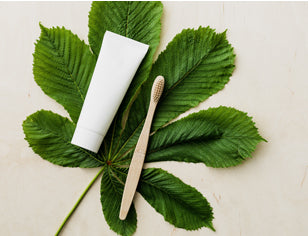 Wooden toothbrush and toothpaste tube on green leaf