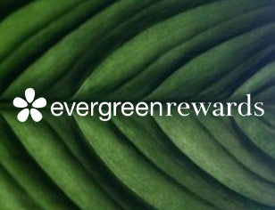 White Evergreen Rewards logo on green leaf background