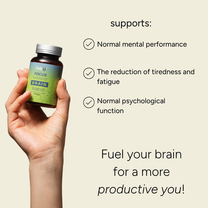 FabÜ Focus Brain