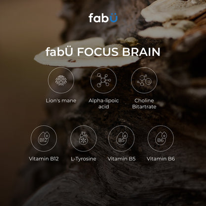 FabÜ Focus Brain