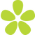 Evergreen Flower Icon