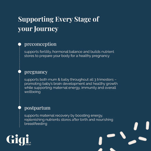 Gigi product description card detailing stages of support for a journey, with a blue background and white text.
