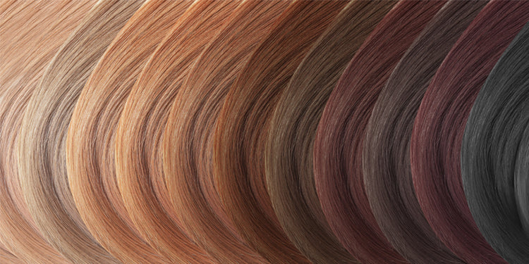Tonal range of different hair colours