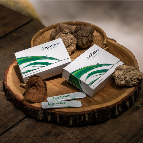 Lignosus Natural Lung Support