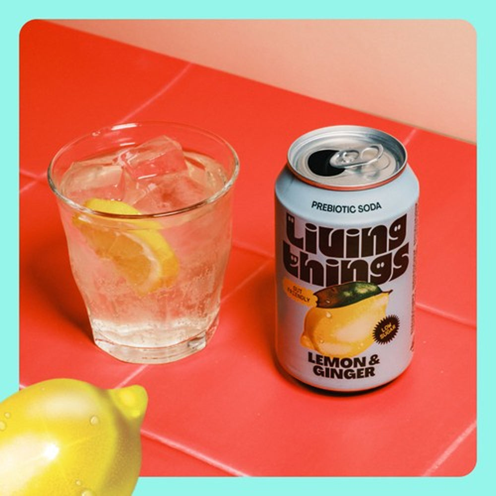 Living Things Lemon &amp; Ginger All Natural Soda Multipack