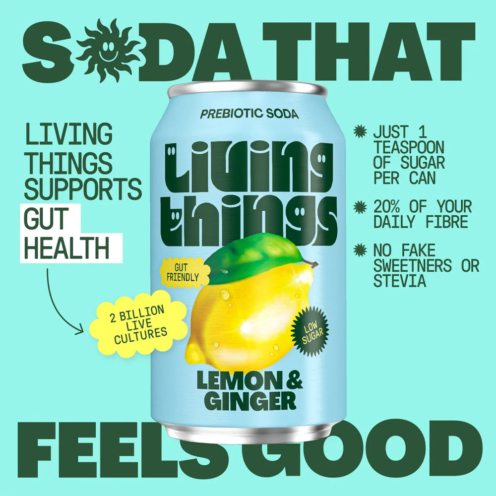 Living Things Lemon &amp; Ginger All Natural Soda Multipack