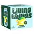 Living Things Lemon & Ginger All Natural Soda Multipack