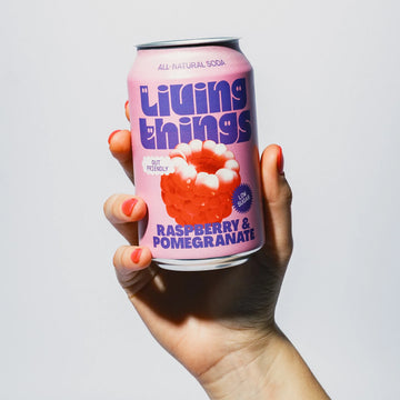 Living Things Raspberry &amp; Pomegranate All Natural Soda