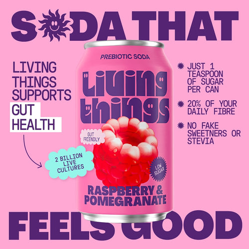 Living Things Raspberry & Pomegranate All Natural Soda Multipack