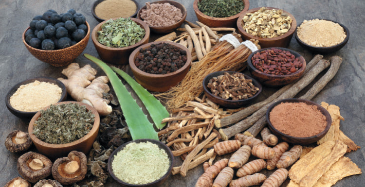 Adaptogens: Nature’s Balance