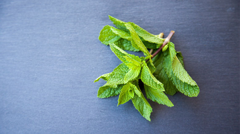 fresh mint leaves